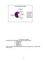 Referāts 'Stils', 21.