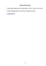 Referāts 'Stils', 33.