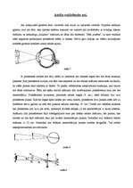 Konspekts 'Acs uzbūve', 5.