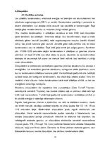 Referāts 'Fotoaparāti', 16.