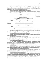 Referāts 'SIA "Florabalt" SVID analīze un attīstības stratēģijas izstrādāšana', 21.