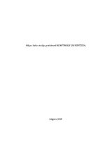 Referāts 'SIA "XXX" iekšējās kontroles apraksts un revīzijas procedūras', 1.