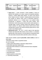 Referāts 'SIA "XXX" iekšējās kontroles apraksts un revīzijas procedūras', 5.