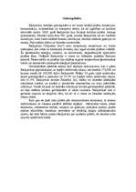 Referāts 'Islande', 13.