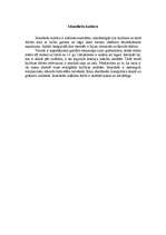 Referāts 'Islande', 18.