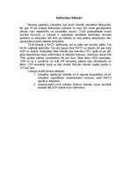 Referāts 'Islande', 28.