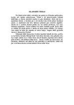 Referāts 'Islande', 31.