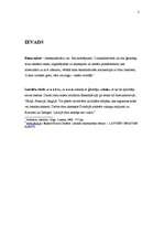 Referāts 'Rūnu raksti', 2.