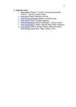 Referāts 'Rūnu raksti', 8.