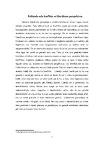 Referāts 'Folklendu salu konflikts no reālisma un liberālisma perspektīvas', 7.