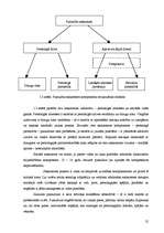 Diplomdarbs 'Sociālā pedagoga darbība pusaudžu konfliktrisināšanas prasmju attīstīšanā skolā', 25.