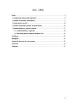 Referāts 'Alkoholisma problēma jauniešu vidū', 2.