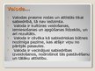 Prezentācija 'Valodas būtība un funkcijas', 3.