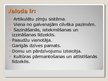 Prezentācija 'Valodas būtība un funkcijas', 5.