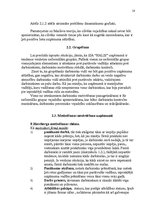 Referāts 'SIA "HALIS" darbinieku motivācijas līmeņa paaugstināšanas projekts', 16.