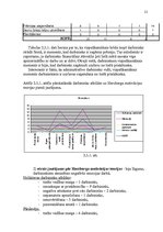 Referāts 'SIA "HALIS" darbinieku motivācijas līmeņa paaugstināšanas projekts', 19.