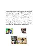 Konspekts 'Jāšanas sporta vēsture', 4.