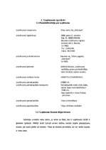 Biznesa plāns 'Biznesa plāns viesu namam SIA "Kalnlejas"', 4.