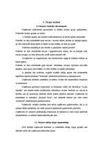 Biznesa plāns 'Biznesa plāns viesu namam SIA "Kalnlejas"', 8.