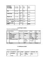 Biznesa plāns 'Biznesa plāns viesu namam SIA "Kalnlejas"', 21.