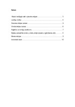 Referāts 'Lietišķa cilvēka ārējais izskats un ģērbšanās stils', 1.