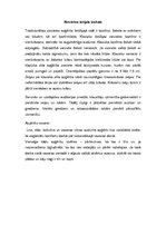 Referāts 'Lietišķa cilvēka ārējais izskats un ģērbšanās stils', 4.