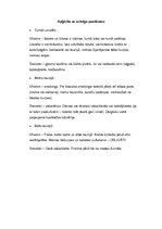 Referāts 'Lietišķa cilvēka ārējais izskats un ģērbšanās stils', 6.