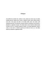 Referāts 'Bāriņtiesas, pagasttiesas darbības raksturojums un reglamentācija', 17.