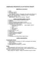 Prakses atskaite 'AS "Hansabanka"', 5.