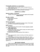 Prakses atskaite 'AS "Hansabanka"', 7.