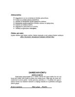 Prakses atskaite 'AS "Hansabanka"', 8.