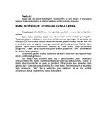 Prakses atskaite 'AS "Hansabanka"', 36.