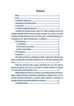 Referāts 'Latvijas iekšzemes kopprodukts, tā dinamika, izlietojums', 2.