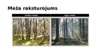 Prezentācija 'Ekosistēma - mežs', 4.