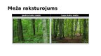 Prezentācija 'Ekosistēma - mežs', 5.