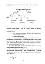 Referāts 'Patstāvīgais darbs prognozēšanā: mājas lapas apmeklētāju skaita prognoze', 7.