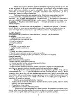 Eseja 'Mācību treniņa īpatnības dažāda vecuma bērniem un jauniešiem', 2.