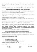 Konspekts 'Psihoanalīzes filosofija', 1.