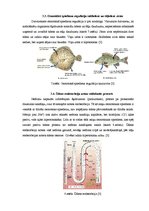 Konspekts 'Osmoze bioloģiskajās sistēmās', 6.