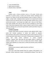 Referāts 'Veiksmīga uzņēmēja pamatprincipi', 20.