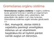 Prezentācija 'Orgānu sistēma', 4.
