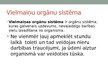 Prezentācija 'Orgānu sistēma', 6.