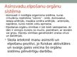 Prezentācija 'Orgānu sistēma', 7.