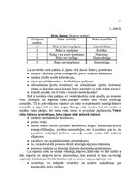 Diplomdarbs 'Muitas loma ierobežoto un aizliegto preču kontrolē', 13.