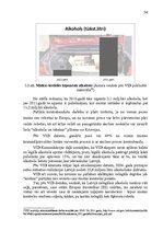 Diplomdarbs 'Muitas loma ierobežoto un aizliegto preču kontrolē', 54.