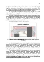 Diplomdarbs 'Muitas loma ierobežoto un aizliegto preču kontrolē', 56.