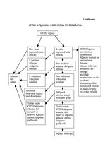 Diplomdarbs 'Muitas loma ierobežoto un aizliegto preču kontrolē', 66.