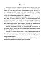 Referāts 'Brūnais lācis', 5.