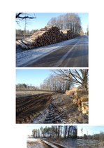 Referāts 'Forvardera ražīguma novērtējums kokmateriālu pievešanā kailcirtē', 1.