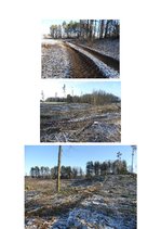 Referāts 'Forvardera ražīguma novērtējums kokmateriālu pievešanā kailcirtē', 2.